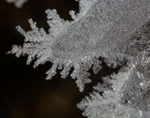 Winter Ice Crystals look like Lace