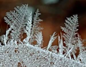 Macro Winter Ice Crystals lace-like formations