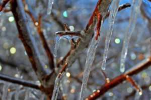 Winter Icicle Lights