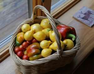 Garden Harvest basket photo by Gail E Rowley Ozark Stream Photography