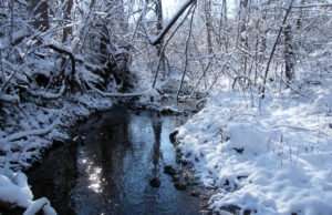Woodland Stream by Ozark Stream Photography Ozark woodland stream in snow