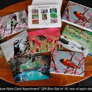 Nature Note Card Assortment Celebrate Nature by Gail e Rowley Ozark Stream Photography