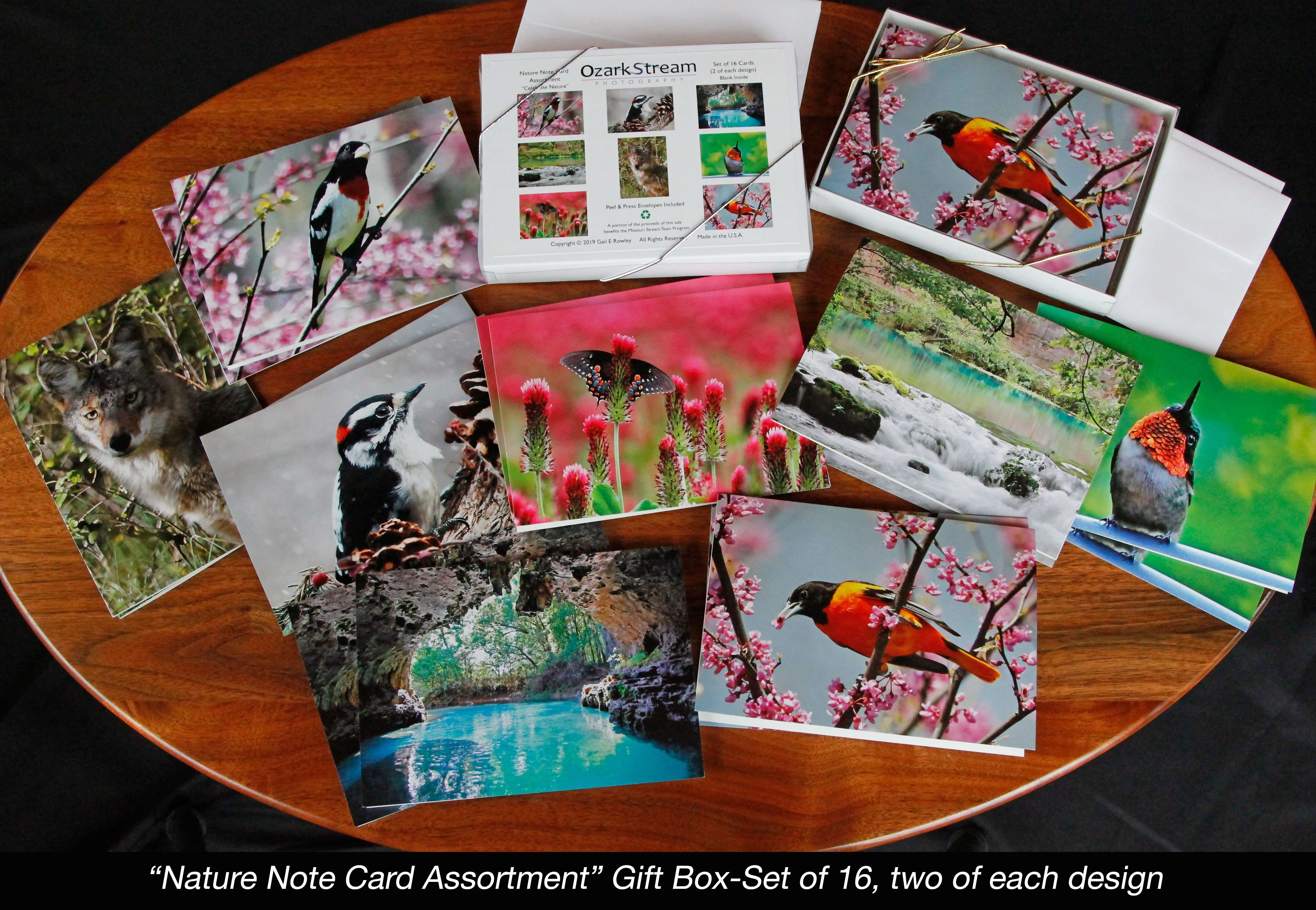 Nature Note Card Assortment Celebrate Nature by Gail e Rowley Ozark Stream Photography