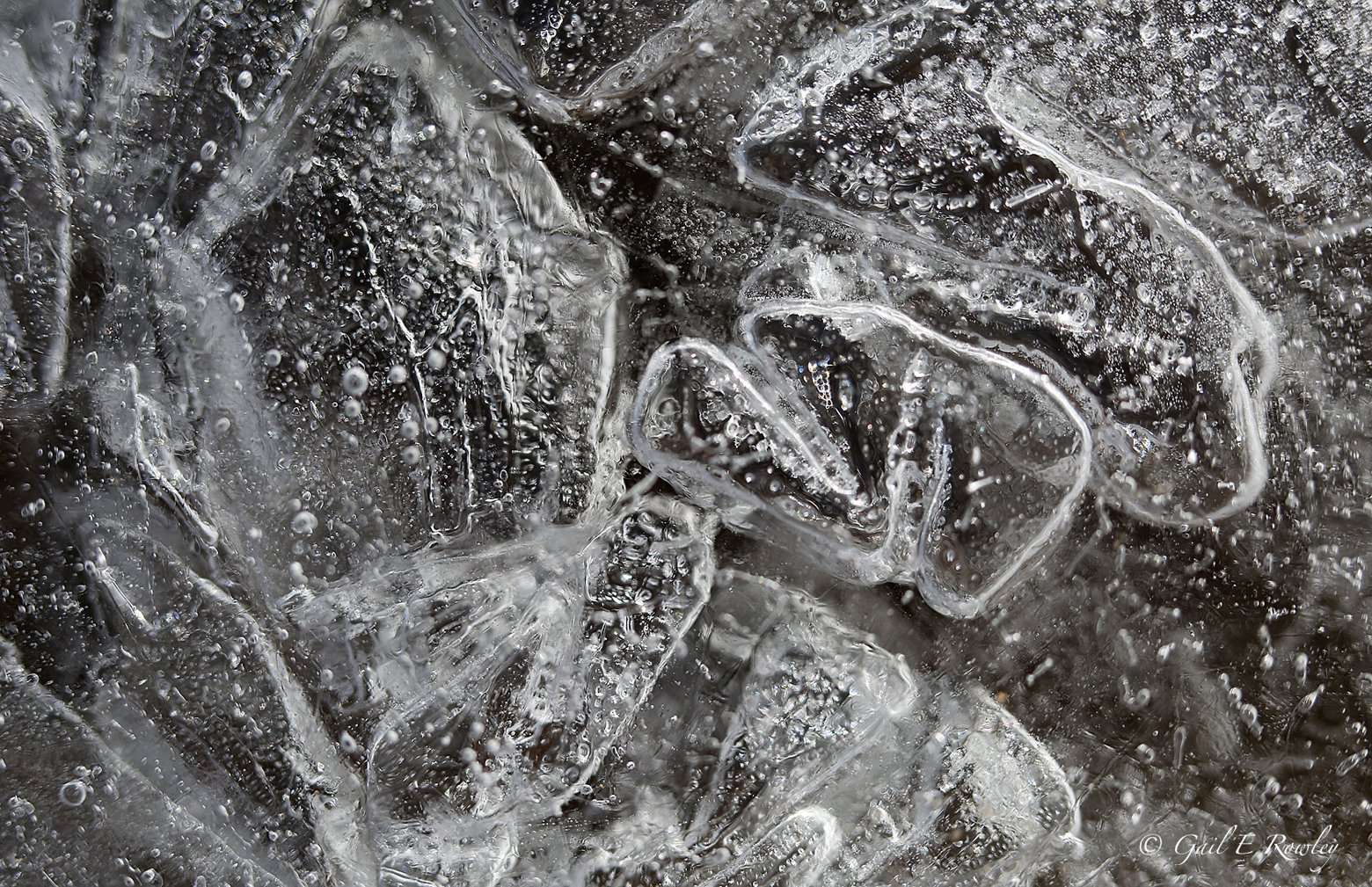 Ice Art on Ozark Stream Macro