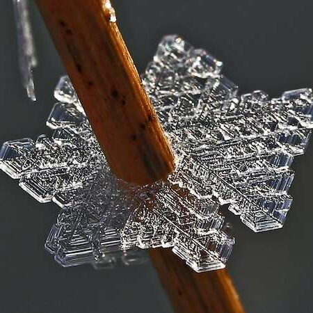 Prairie Ice Crystal on Native Grass Stem